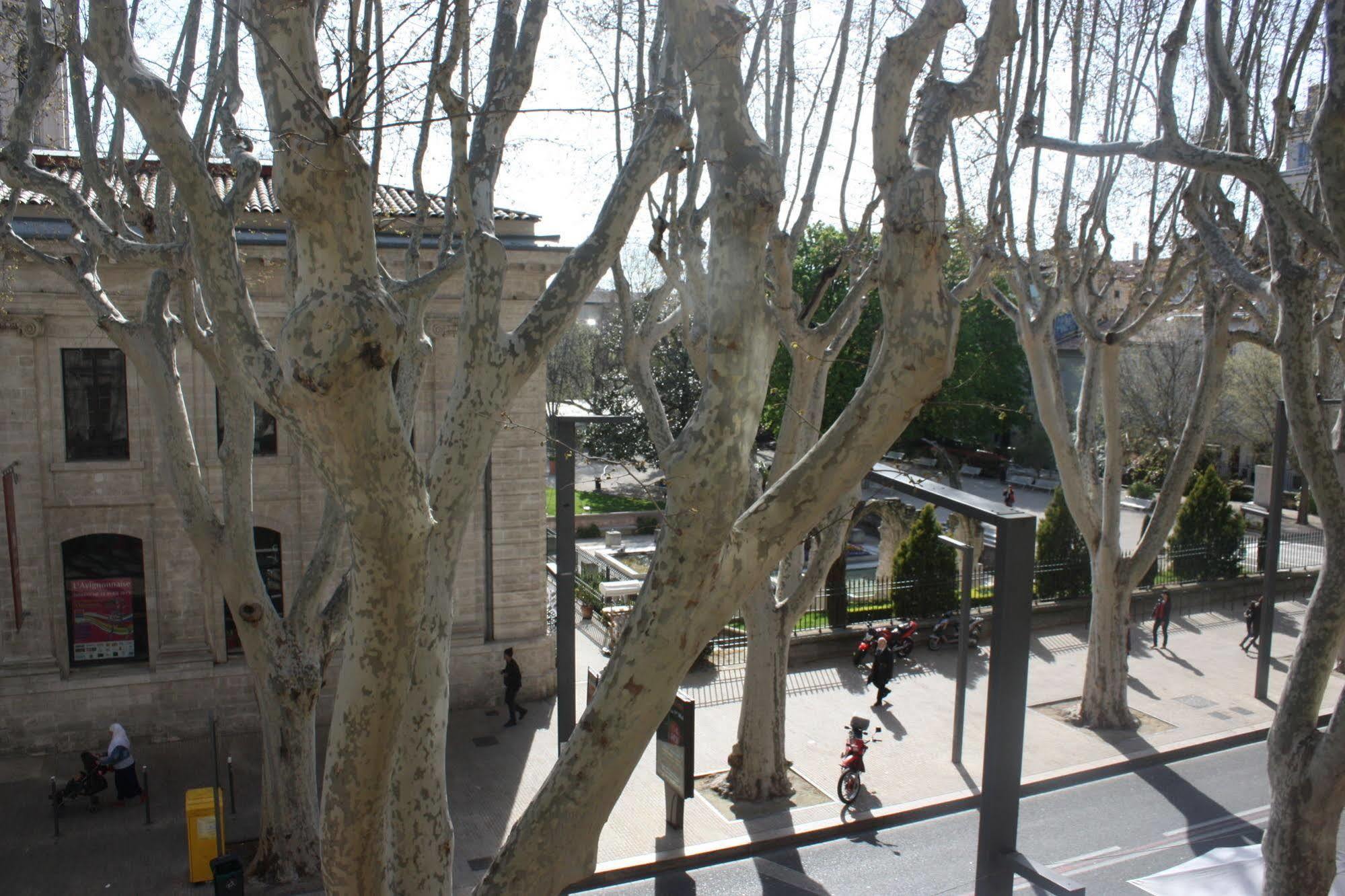 Hotel Alizea Avignon Ngoại thất bức ảnh